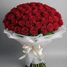 Букет 101 Красная роза Блэк Мэджик в Синегорском