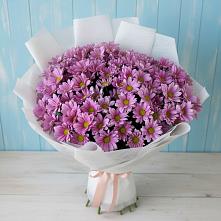 Букет цветов из:  Хризантемы в Синегорском