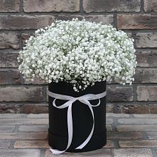 Цветочная композиция из Гипсофила в шляпной коробке в Синегорском