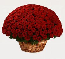 Премиум букет из: Розы #REPLACE_PRED# Синегорском